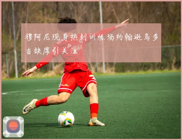 穆阿尼现身热刺训练场约翰逊乌多吉缺席引关注