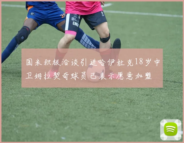 国米积极洽谈引进哈伊杜克18岁中卫姆拉契奇球员已表示愿意加盟
