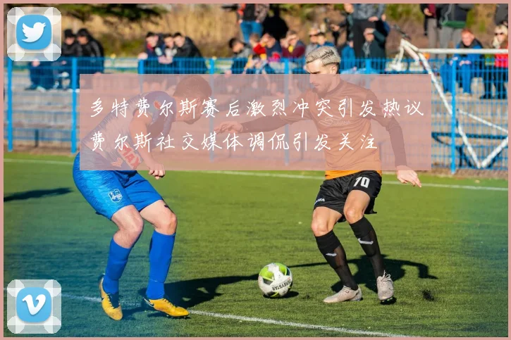 多特费尔斯赛后激烈冲突引发热议费尔斯社交媒体调侃引发关注