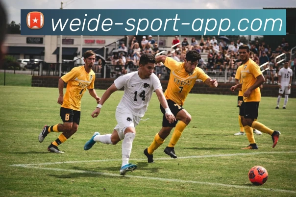 多媒体互动体验