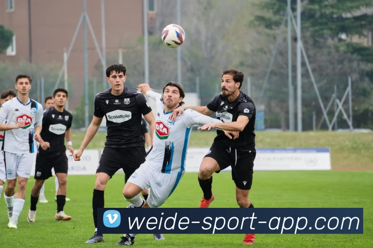 伟德体育APP 高清赛事图